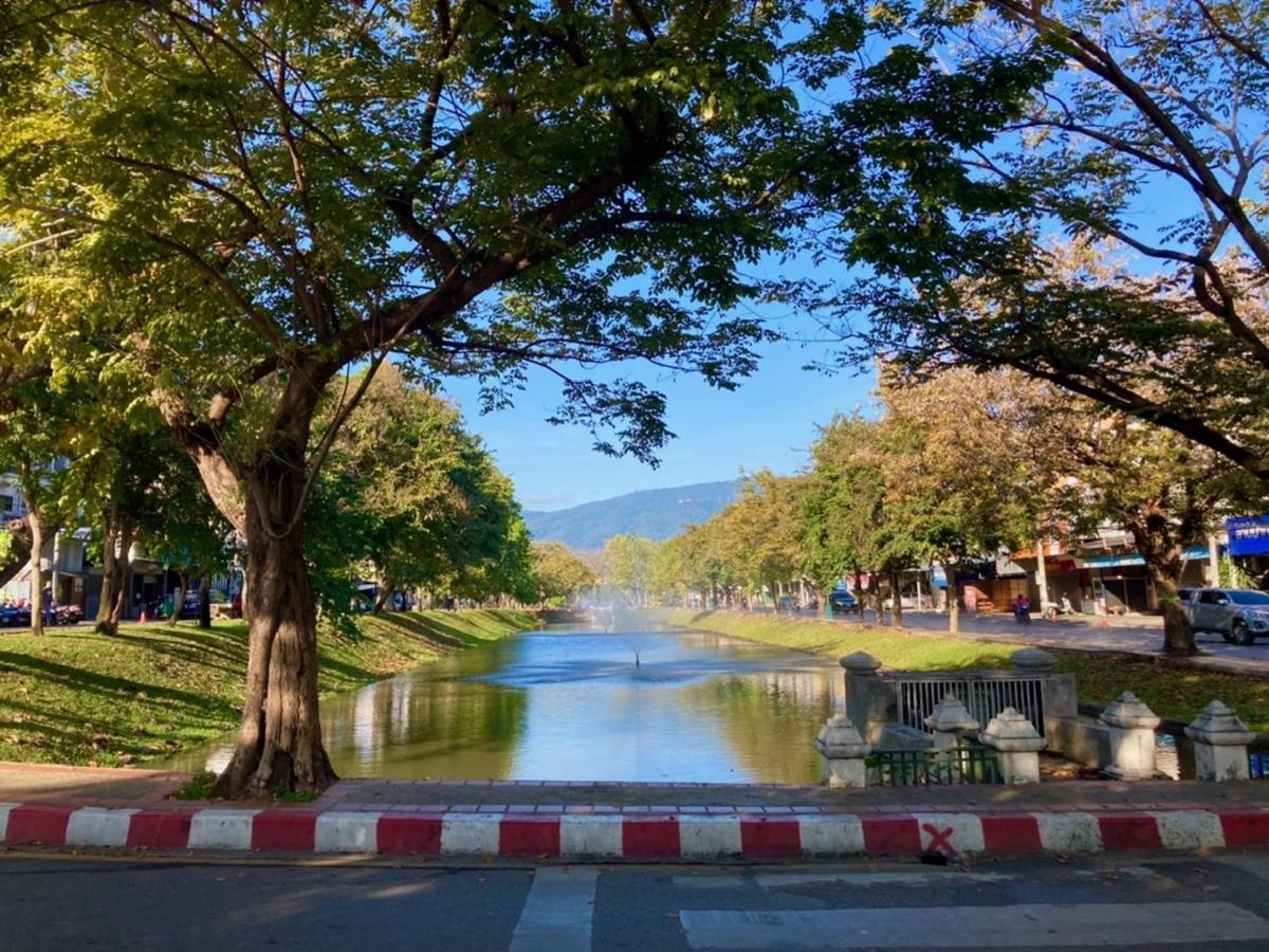 Triple Palms House Hotel เชียงใหม่ ภายนอก รูปภาพ